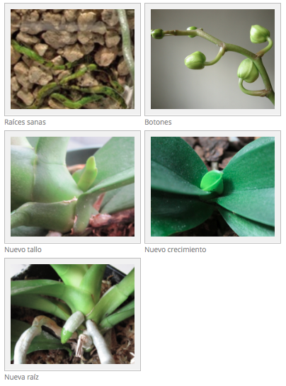 Captura de pantalla 2014-05-16 a la(s) 14.10.44