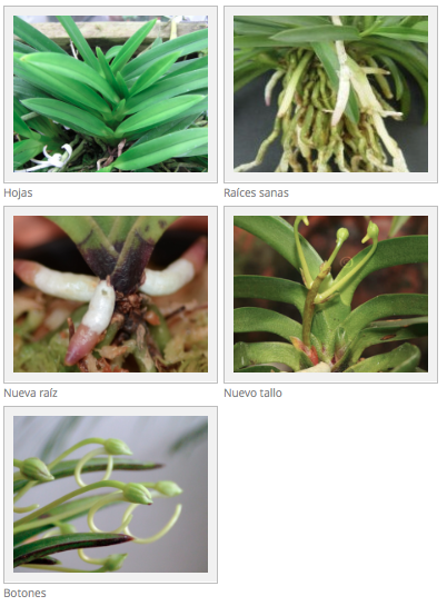 Captura de pantalla 2014-05-16 a la(s) 14.06.32