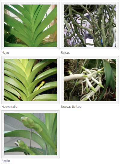 Captura de pantalla 2014-05-16 a la(s) 14.16.23