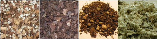 Captura de pantalla 2013-12-12 a la(s) 11.50.42