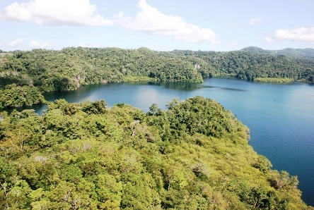 Fortalecen Plan de Rescate de Orquídeas en la Reserva de la Biosfera El Triunfo (México)