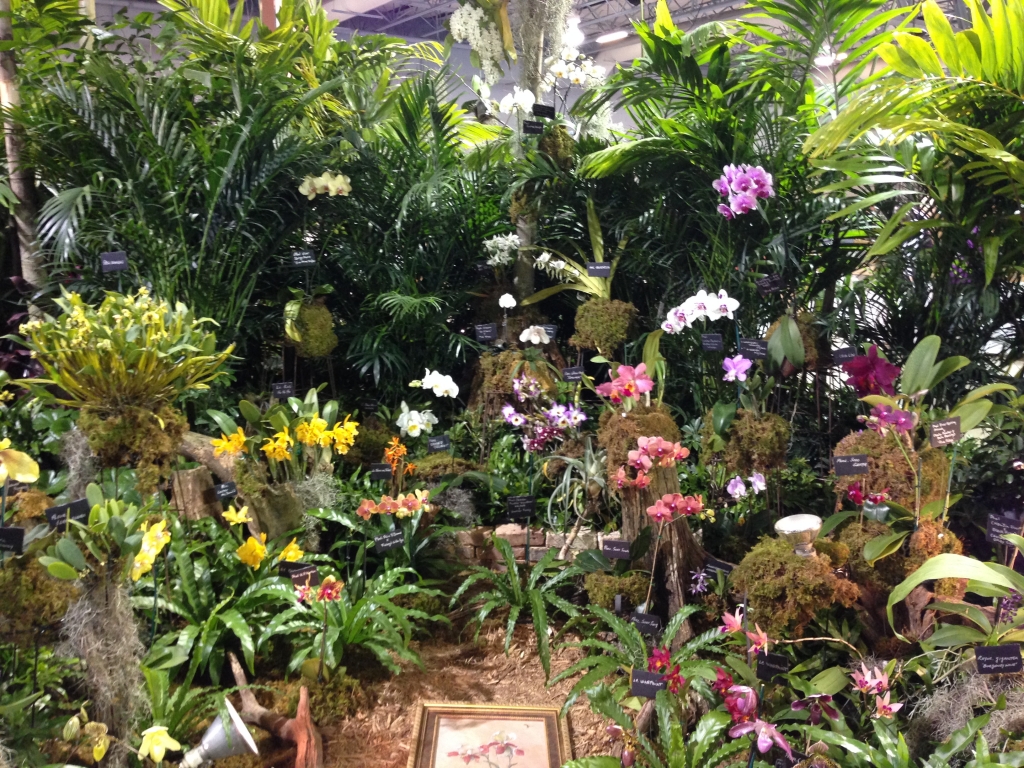 Photos Tamiami International Orchid Show 2014 – Part 2