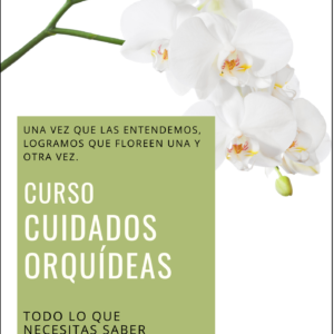 Orquídeas: simple y fácil